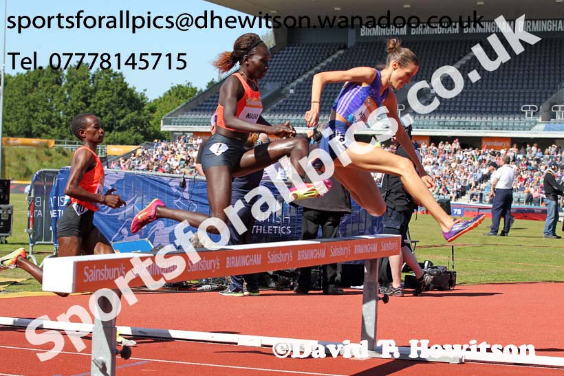 Womens 3000 metres steeplechase, IAAF Diamond League, Birmingham. Photo: David T. Hewitson/Sports for All Pics